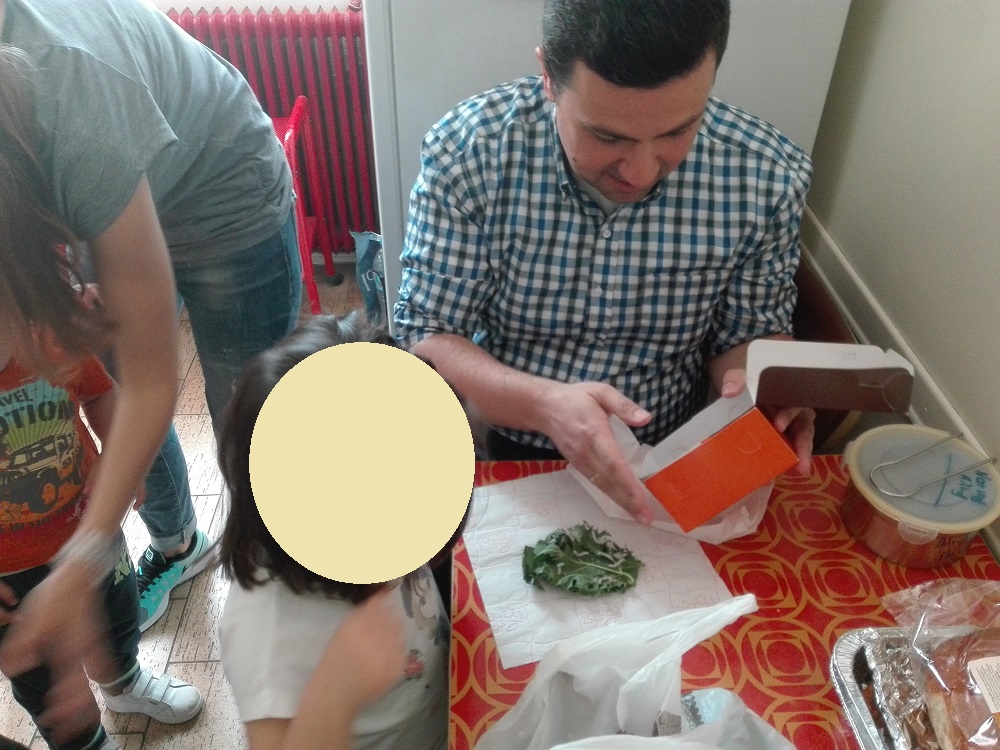Οι μεταξοσκώληκες μας! 